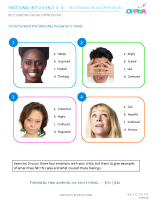 1 – Recognizing Facial Expressions 1 (Int)
