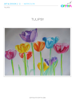 5 – Tulips!
