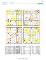 7 – Sudoku 7