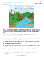 7 – The Water Cycle