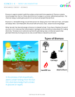 9 – Renewable Energy – Biomass